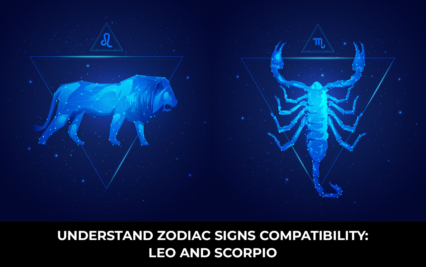 Understand Zodiac Signs Compatibility: Leo and Scorpio